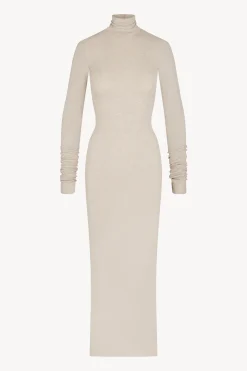 LONG SLEEVE TURTLENECK MAXI DRESS