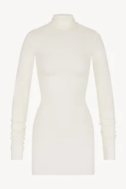LONG SLEEVE TURTLENECK MINI DRESS
