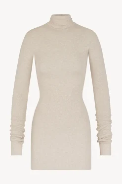 LONG SLEEVE TURTLENECK MINI DRESS