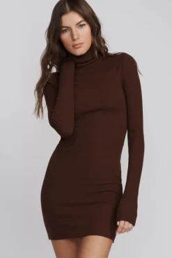 LONG SLEEVE TURTLENECK MINI DRESS