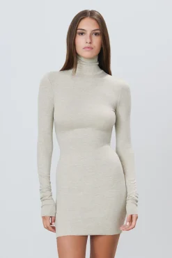 LONG SLEEVE TURTLENECK MINI DRESS