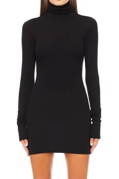 LONG SLEEVE TURTLENECK MINI DRESS