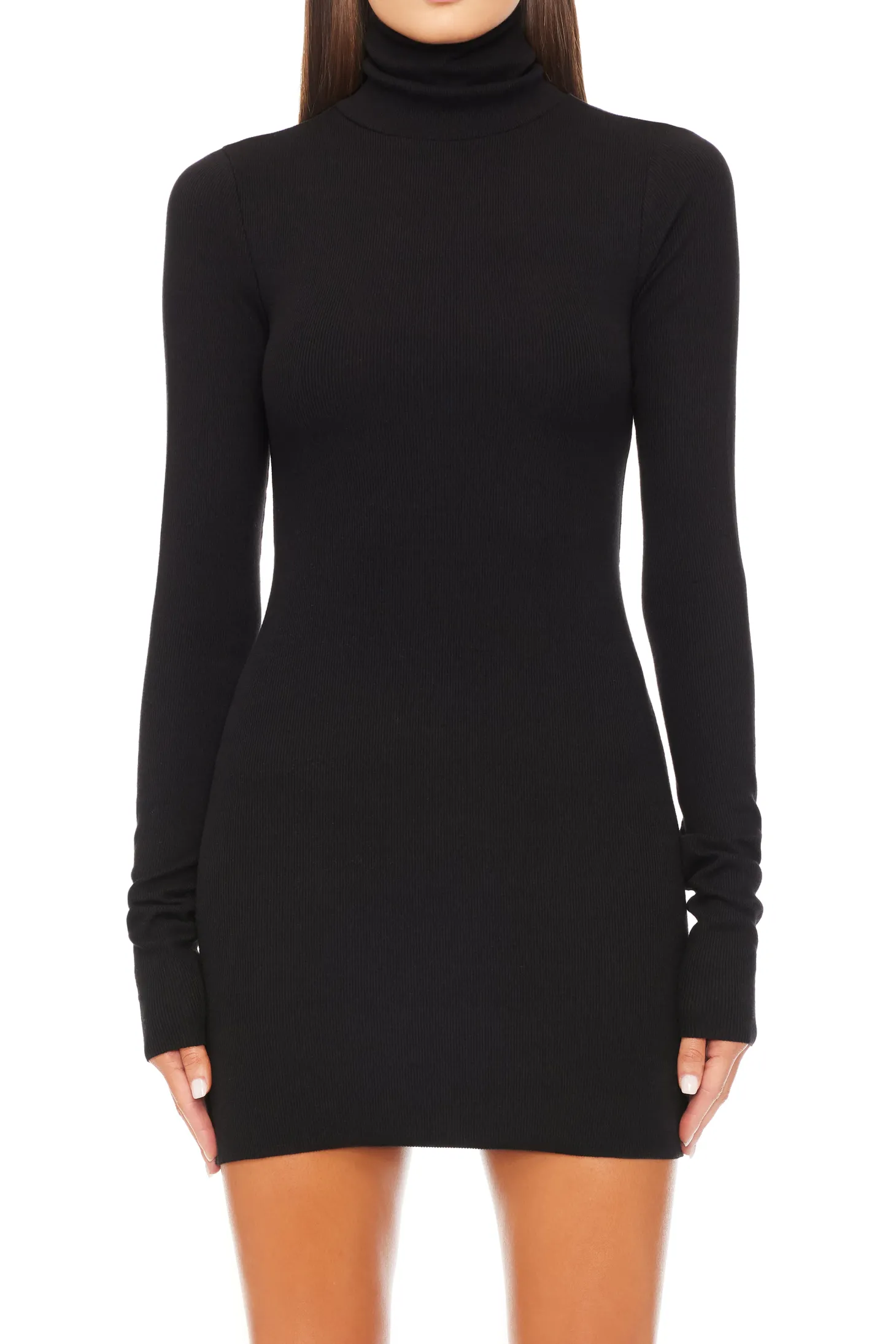 LONG SLEEVE TURTLENECK MINI DRESS