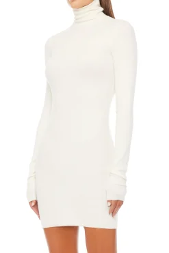 LONG SLEEVE TURTLENECK MINI DRESS