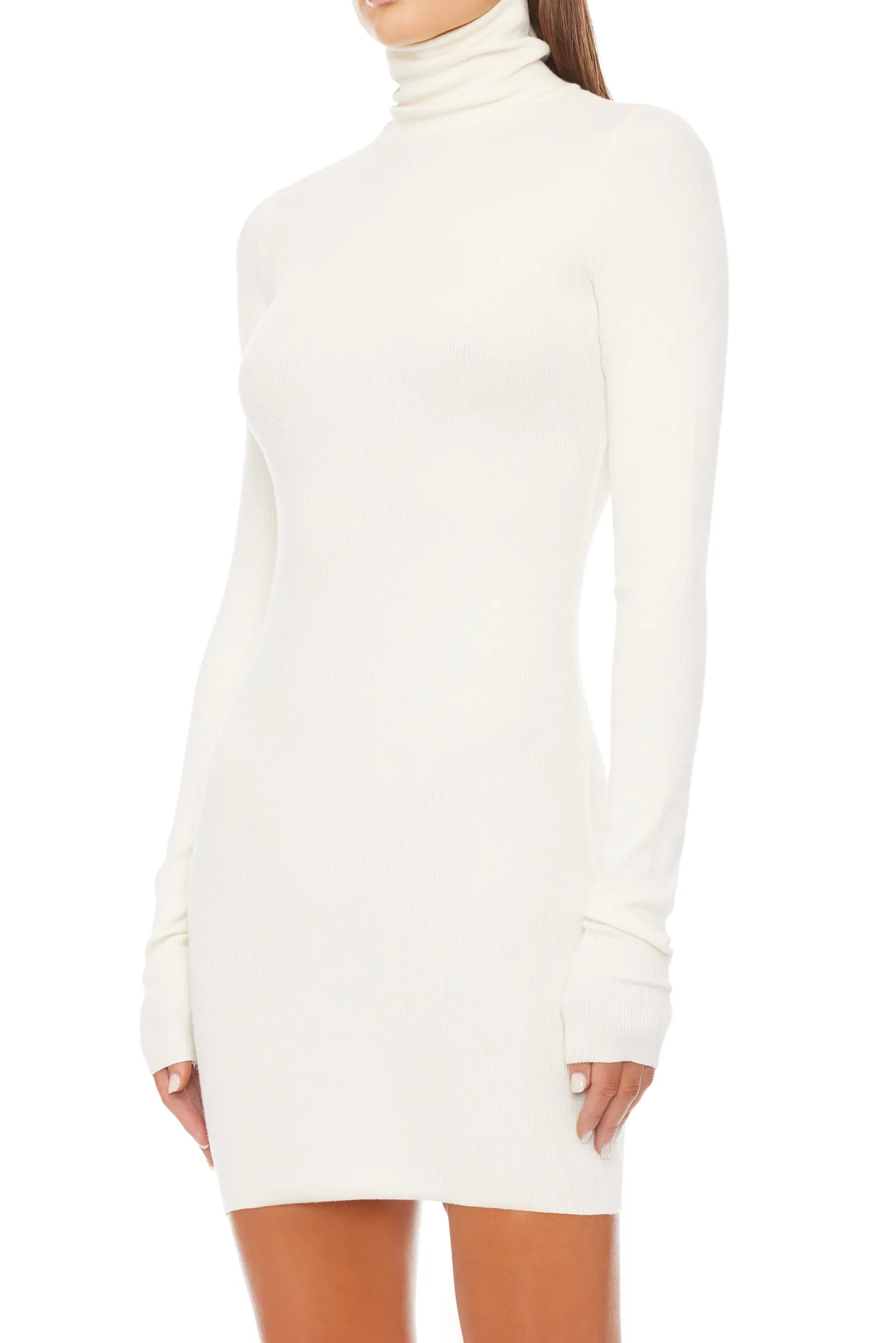 LONG SLEEVE TURTLENECK MINI DRESS