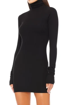 LONG SLEEVE TURTLENECK MINI DRESS