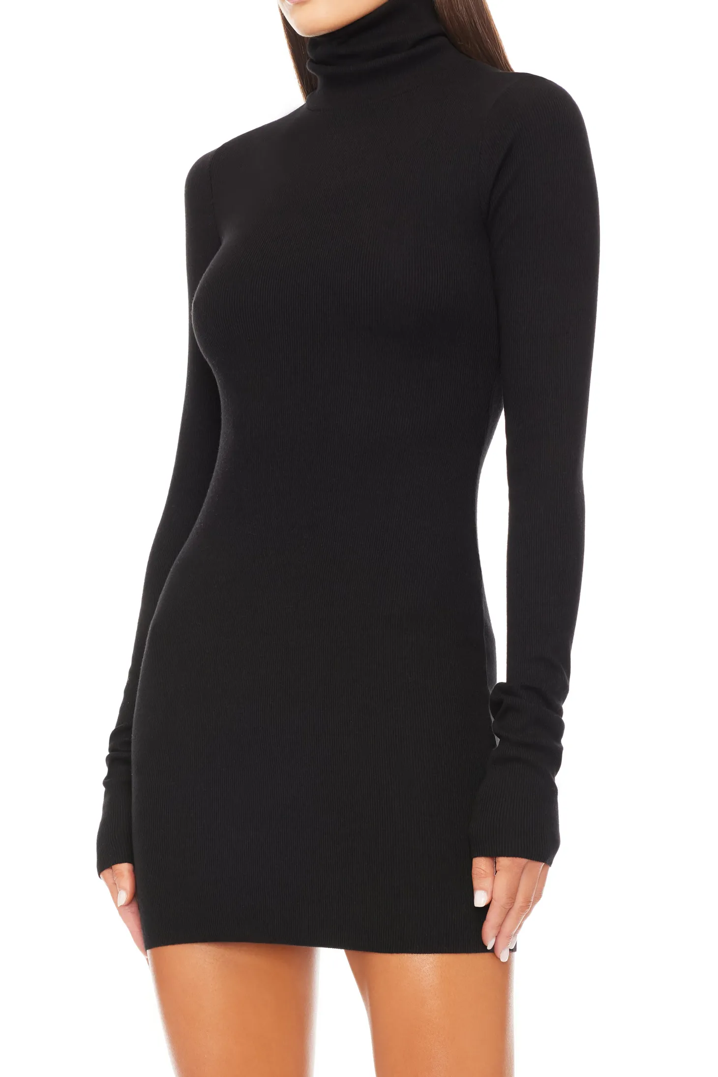 LONG SLEEVE TURTLENECK MINI DRESS