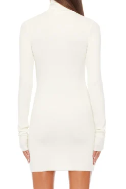 LONG SLEEVE TURTLENECK MINI DRESS