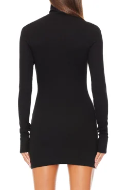 LONG SLEEVE TURTLENECK MINI DRESS