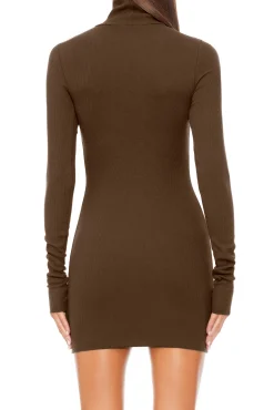 LONG SLEEVE TURTLENECK MINI DRESS