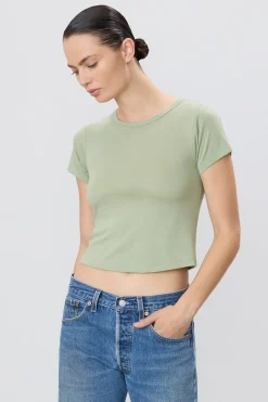 Short Sleeve Baby Tee in Sage