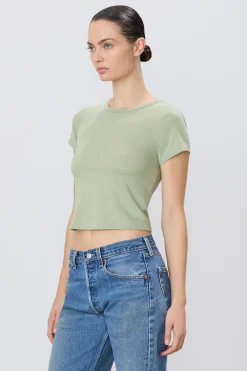 Short Sleeve Baby Tee in Sage
