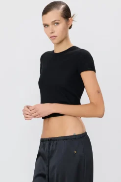 VAN TOP